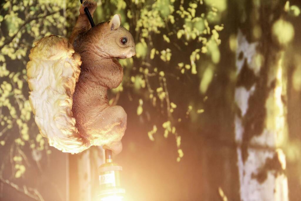 Secret Hideaways Wood Lodge Mit Kinderzimmer Messe L City L Flughafen L Hbf Duisburg Buitenkant foto